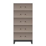 American Modern 24'' Five-Drawer Chest