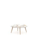 Coffee Table 4242 DF