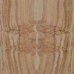 Carlota Coffee Table