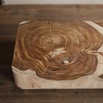 Mara Coffee Table