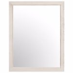 Mist Mirror