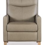 Quinnie Power Recliner with Power Headrest