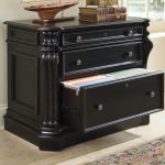 Telluride Lateral File
