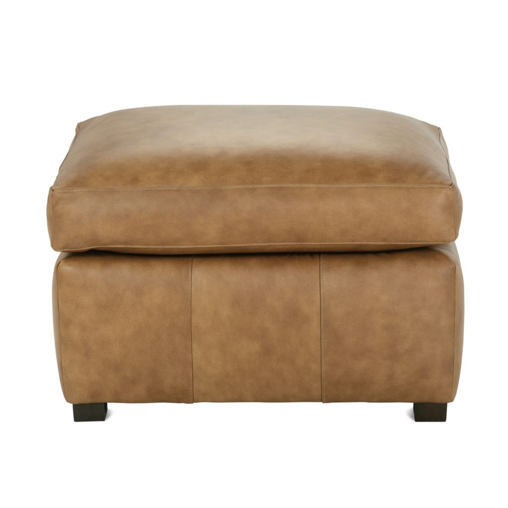 DESMOND-L-005
