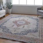 Marquette Transitional Medallion, Gray/Red/Blue