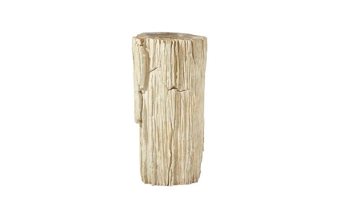 Petrified Wood Pedestal