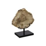 Petrified Wood Sculpture