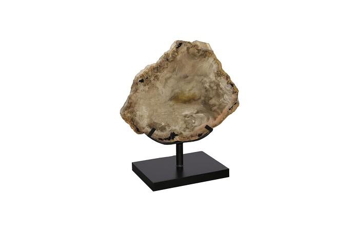 Petrified Wood Sculpture