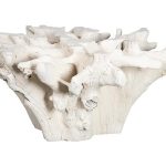 Teak Root Dining Table, Bleached