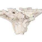 Teak Root Dining Table Base, Bleached