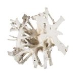 Teak Root Dining Table Base, Bleached