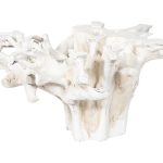 Teak Root Dining Table Base, Bleached
