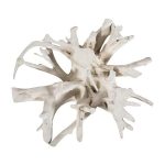 Teak Root Dining Table Base, Bleached