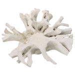 Teak Root Dining Table Base, Bleached