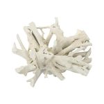 Teak Root Dining Table Base, Bleached