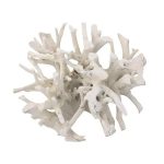Teak Root Dining Table Base, Bleached