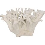 Teak Root Dining Table Base, Bleached