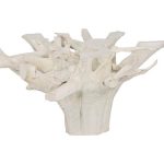 Teak Root Dining Table Base, Bleached