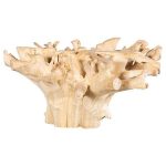 Teak Root Dining Table Base, Bleached