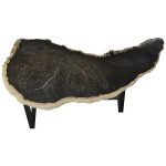 Petrified Wood Coffee Table, Black Iron Base