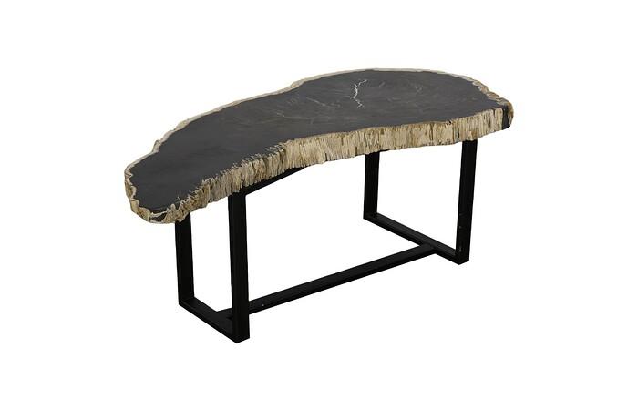 Petrified Wood Coffee Table, Black Iron Base