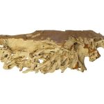 Teak Root Console Table, Bleached