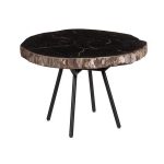 Petrified Coffee Table, Round, Metal Black Base