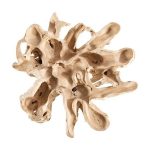 Teak Root Dining Table Base, Bleached