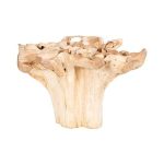 Teak Root Dining Table Base, Bleached