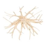Wood Wall Decor, Bleached