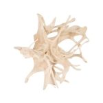 Wood Wall Decor, Bleached
