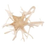 Wood Wall Decor, Bleached