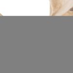 Wood Wall Decor, Bleached