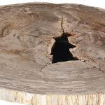 Petrified Wood Coffee Table, Black Metal Base