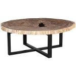 Petrified Wood Coffee Table, Black Metal Base