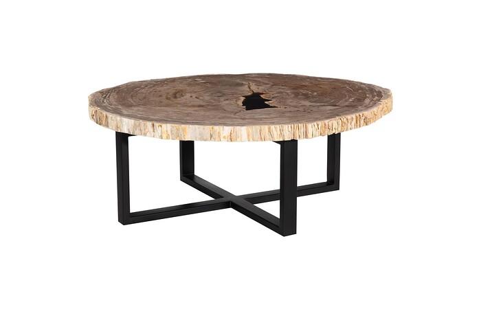 Petrified Wood Coffee Table, Black Metal Base