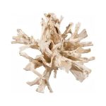 Teak Root Dining Table Base, Bleached, Round