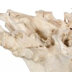 Teak Root Dining Table Base, Bleached, Round