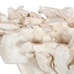 Teak Root Dining Table Base, Bleached