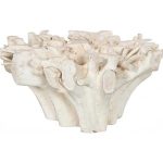 Teak Root Dining Table Base, Bleached