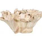 Teak Root Dining Table Base, Bleached, Round