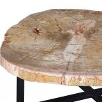 Petrified Wood Coffee Table, Black Metal Base