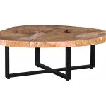Petrified Wood Coffee Table, Black Metal Base
