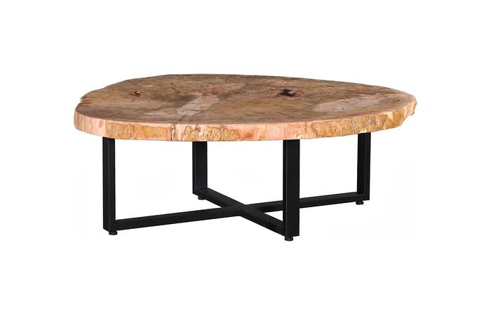 Petrified Wood Coffee Table, Black Metal Base