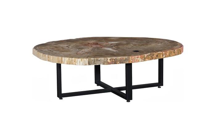 Petrified Wood Coffee Table, Black Metal Base