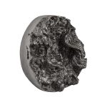 Cast Root Erupting Wall Sculpture
