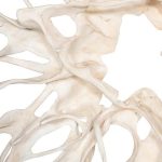 Cast Root Wall Decor, Faux Bleached