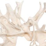 Cast Root Wall Decor, Faux Bleached