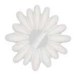 Radial Shell Mirror, White Stone