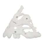 Contour Cast Root Triangle Wall Art, White Stone